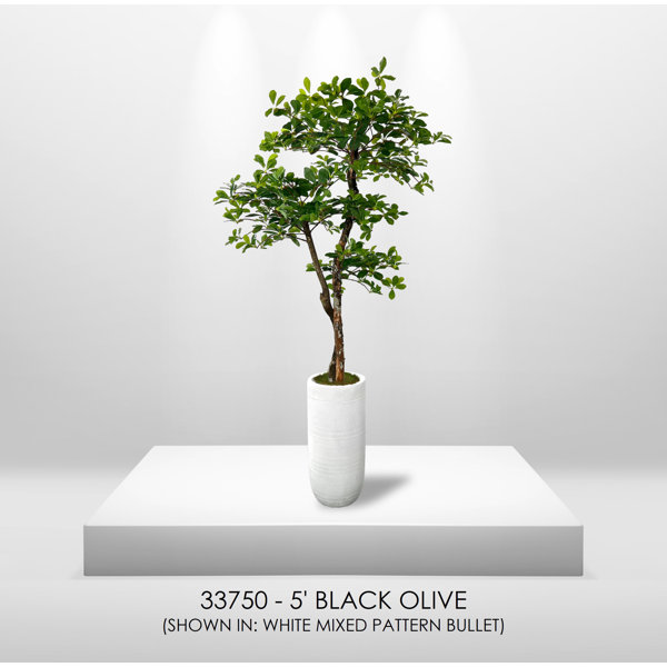 Primrue HandMade Primrue Fresh Italian Black Olive Leaf 5'' Artificial Tree & Reviews Wayfair